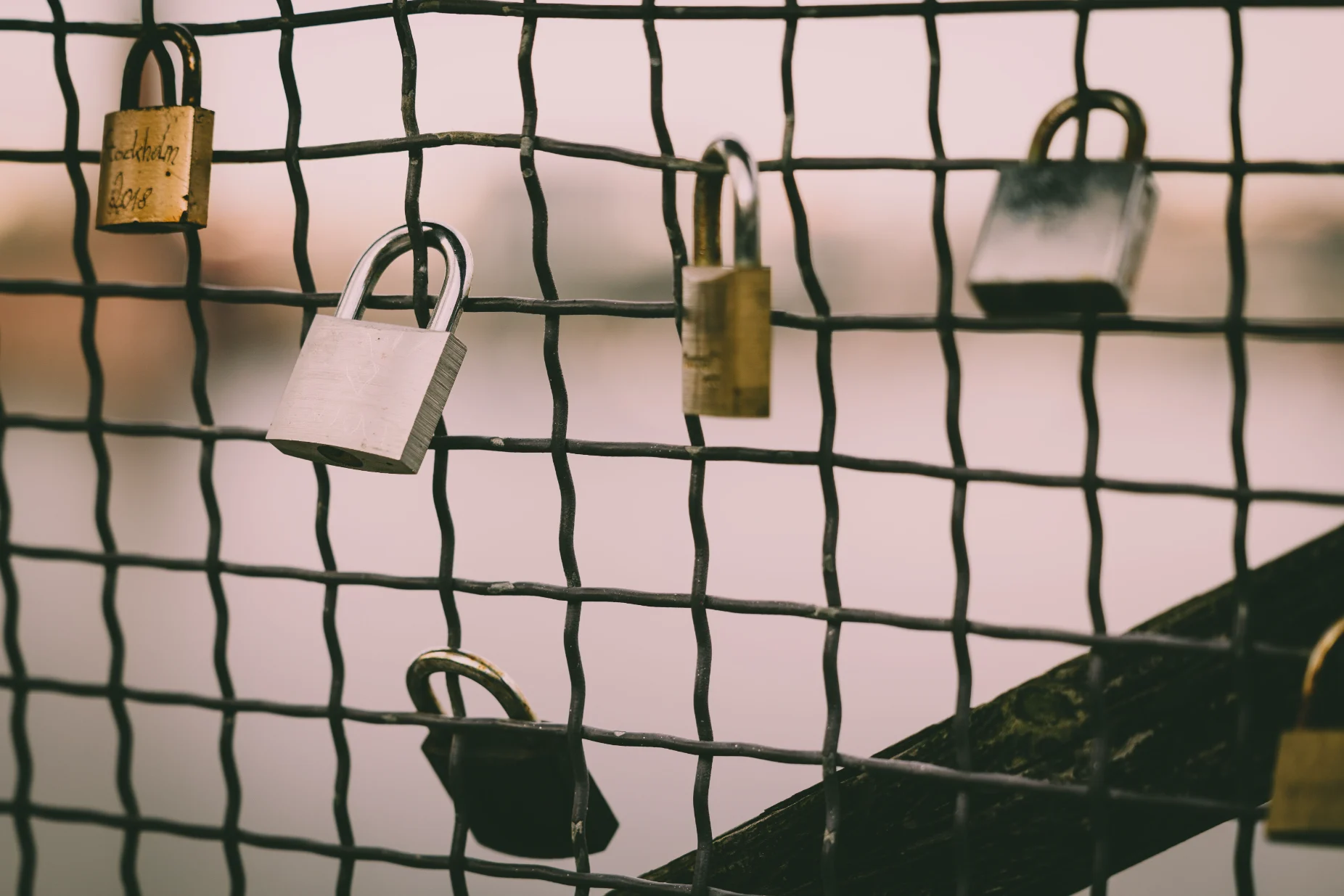 Several padlocks hanging on a wire fence